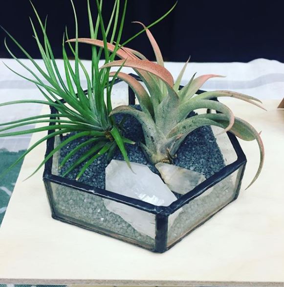 Handcrafted glass terrariums by artist, Sarah Ehle. (Photo credit: @sadietamales)